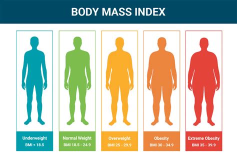 bmi calculator for muscular build|bmi calculator including muscle.